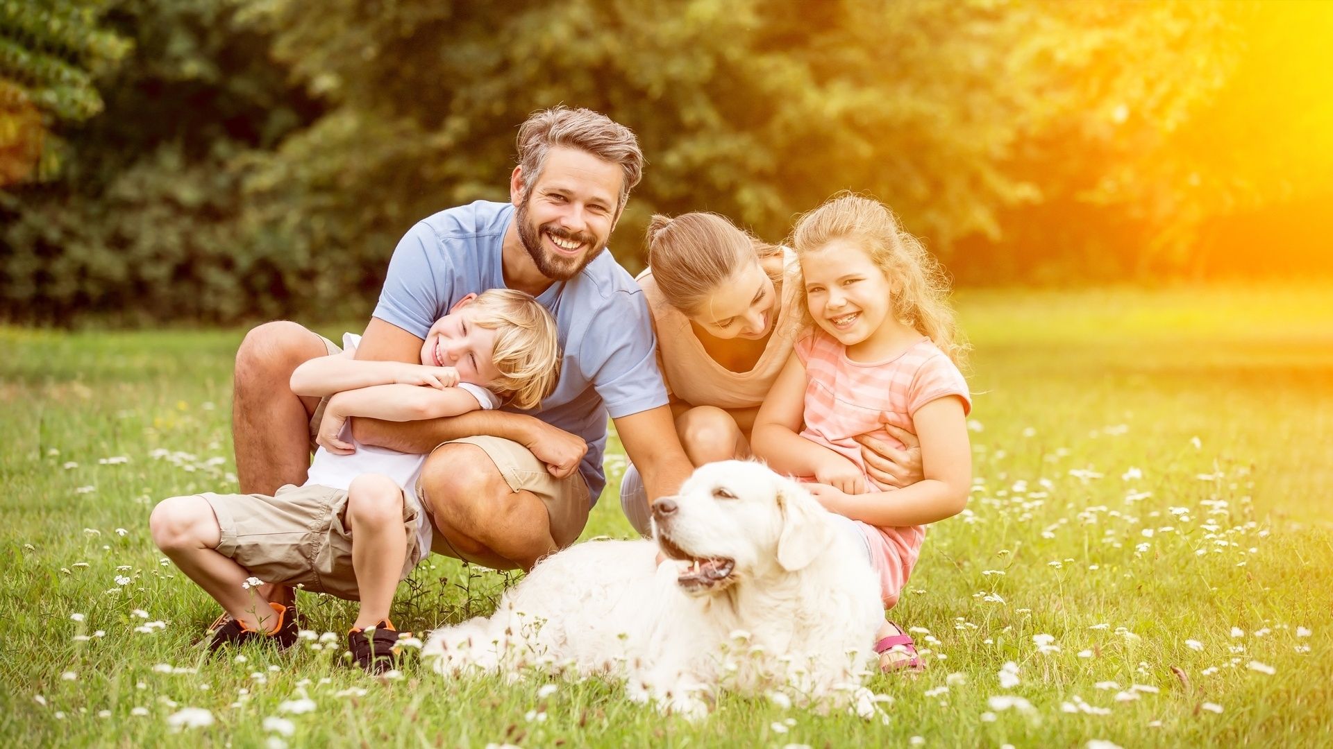 Análisis de Redes equipos integrados