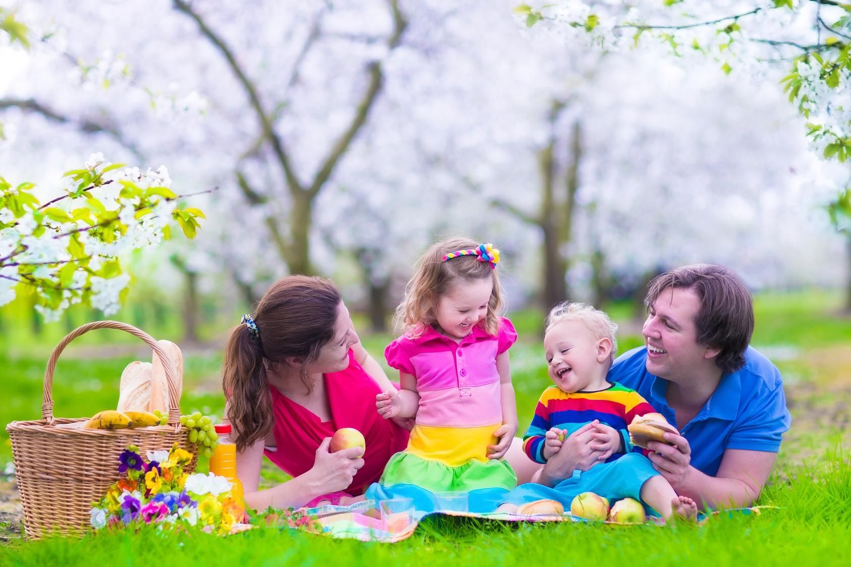 Análisis de Redes equipos integrados